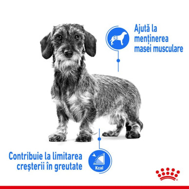 Royal Canin Mini Light Weight Care Adult – Hrană Uscată pentru Câini Adulți de Talie Mică, cu Tendință de Îngrășare – 1 kg